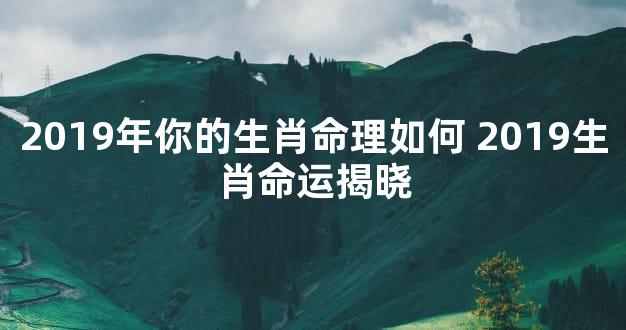 2019年你的生肖命理如何 2019生肖命运揭晓